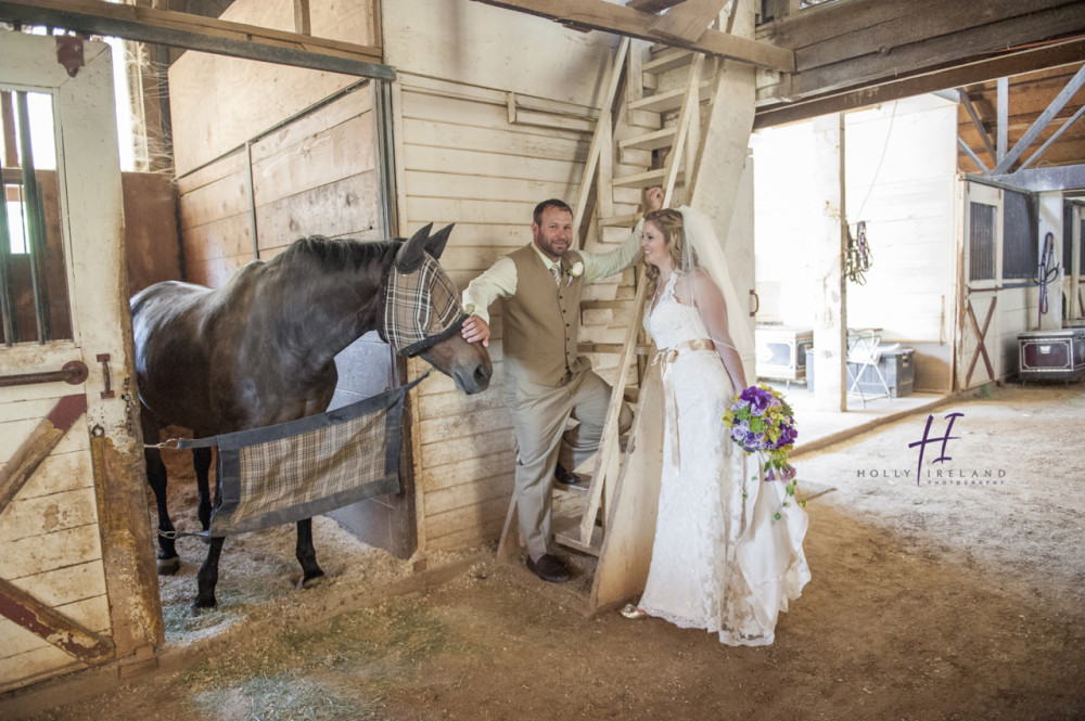 Quail Haven Farms amazing wedding photos with the horses in San Diego