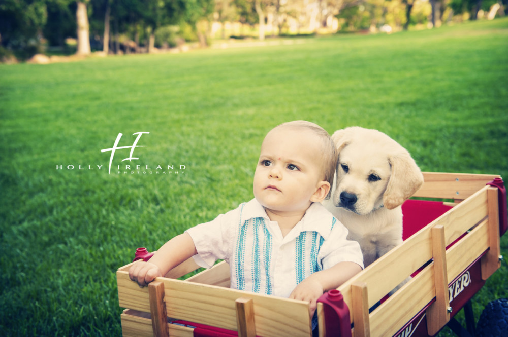 Amazing baby and puppy photography in San Diego CA