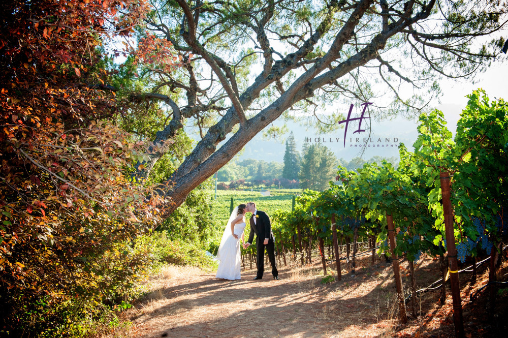 Napa wedding vineyard photos www.hollyireland.com