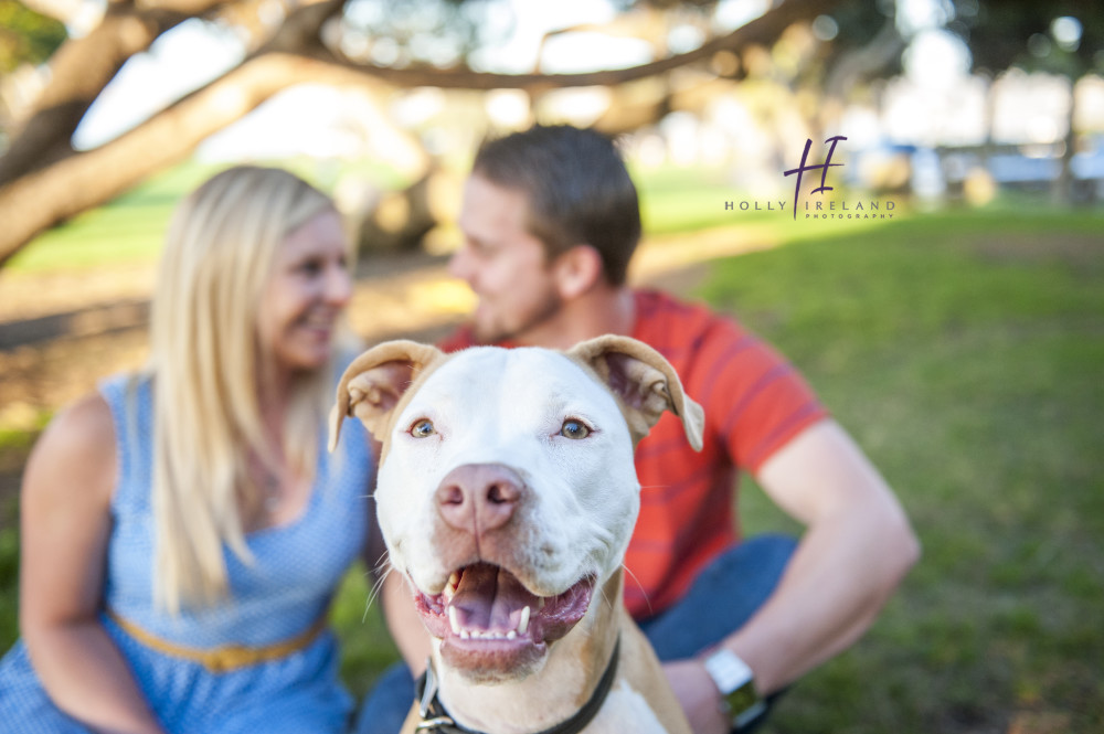 Adorable dog ideas for engagement photos