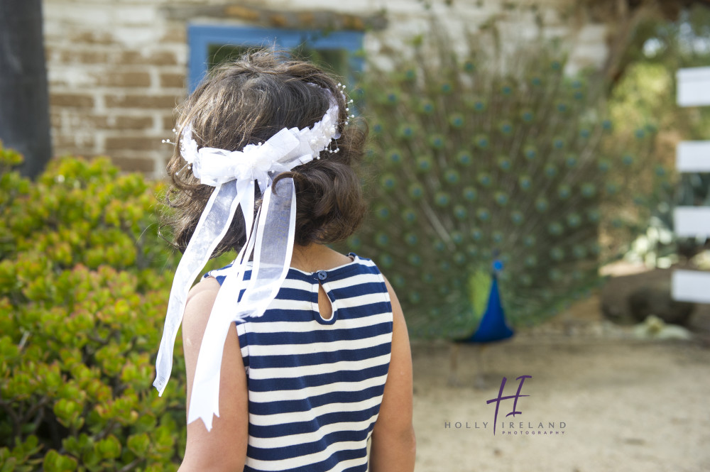 family and peacock photography