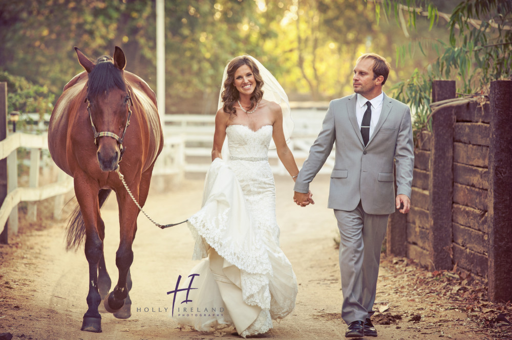 beautiful bridal photos with a horse