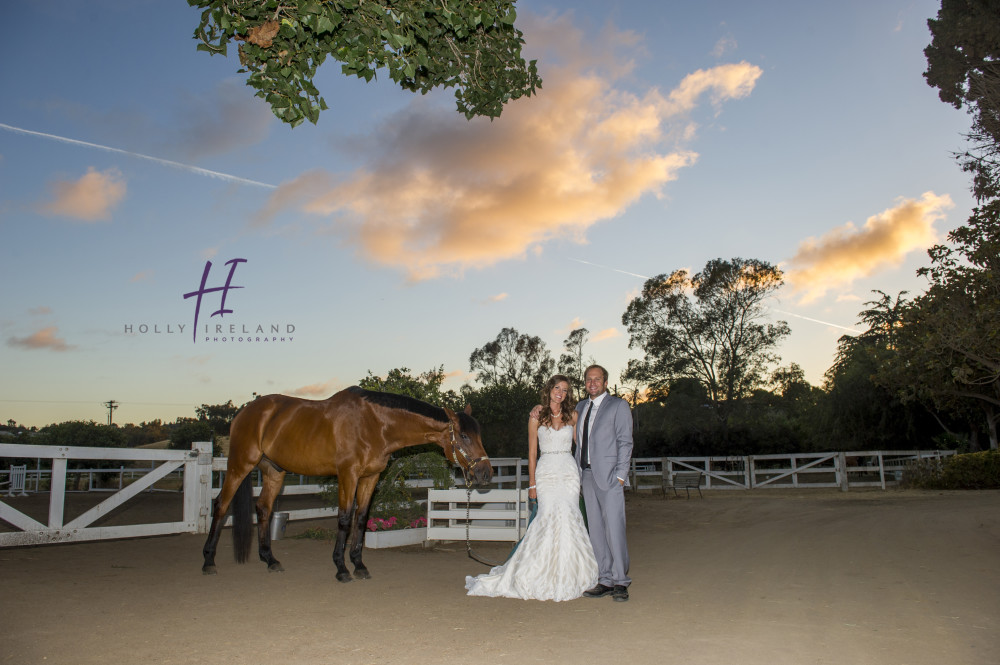 ranch style bride and groom photos with a horse