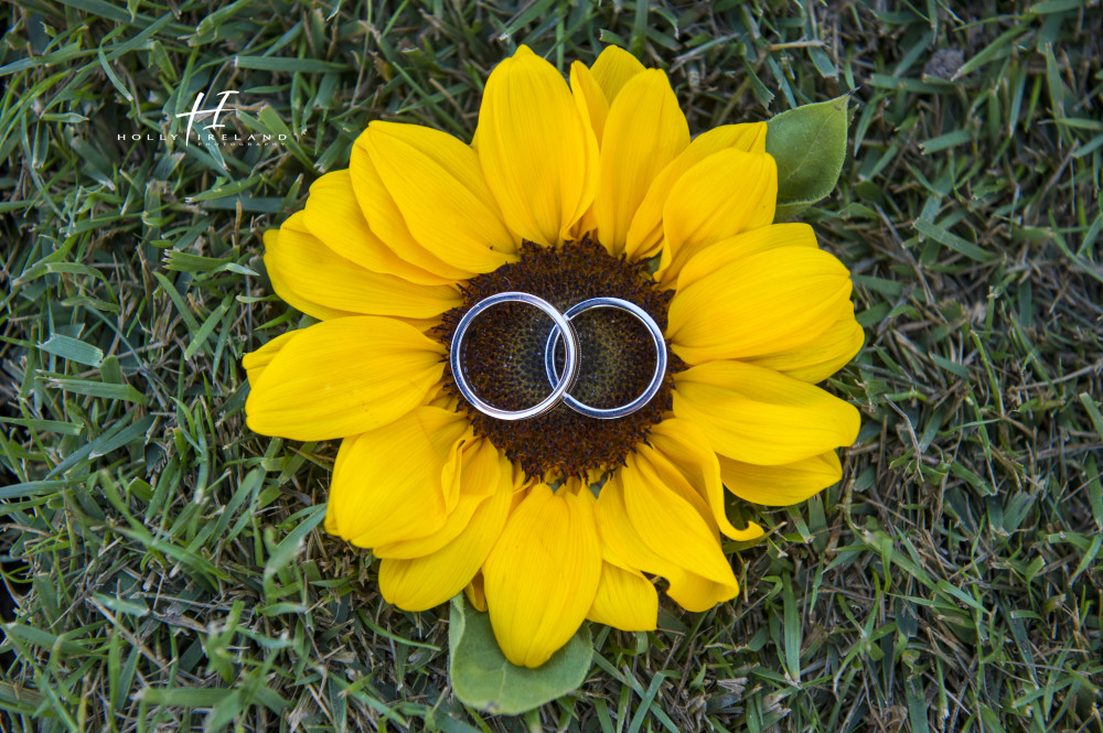 same sex wedding ring photos