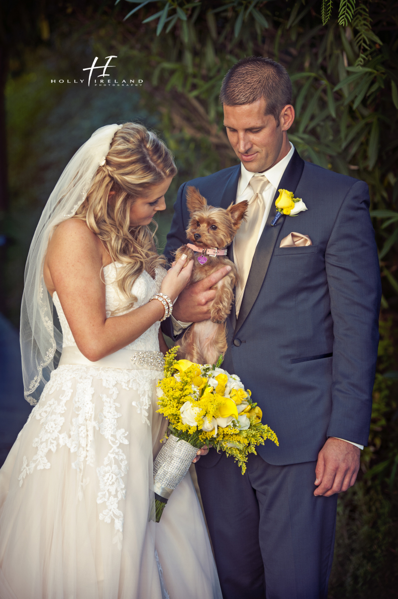 bride, groom, and puppy