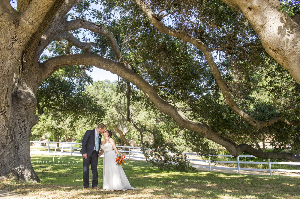 CircleOakRanch-Wedding-Photographs4