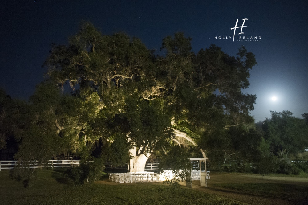 CircleOakRanch-Wedding-Photography