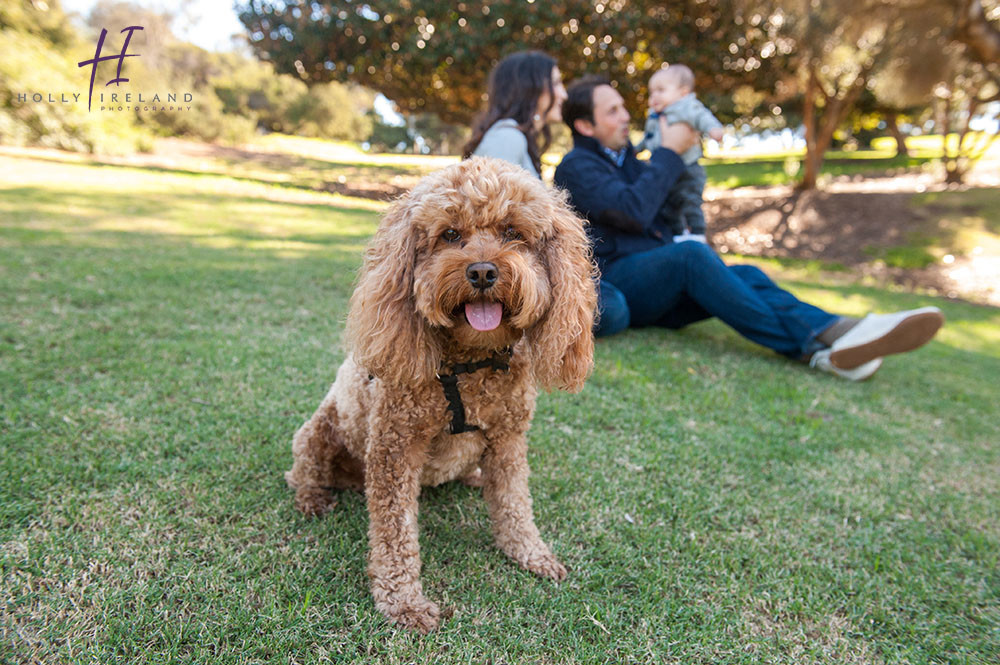 PresidioPark-Family-Portrait