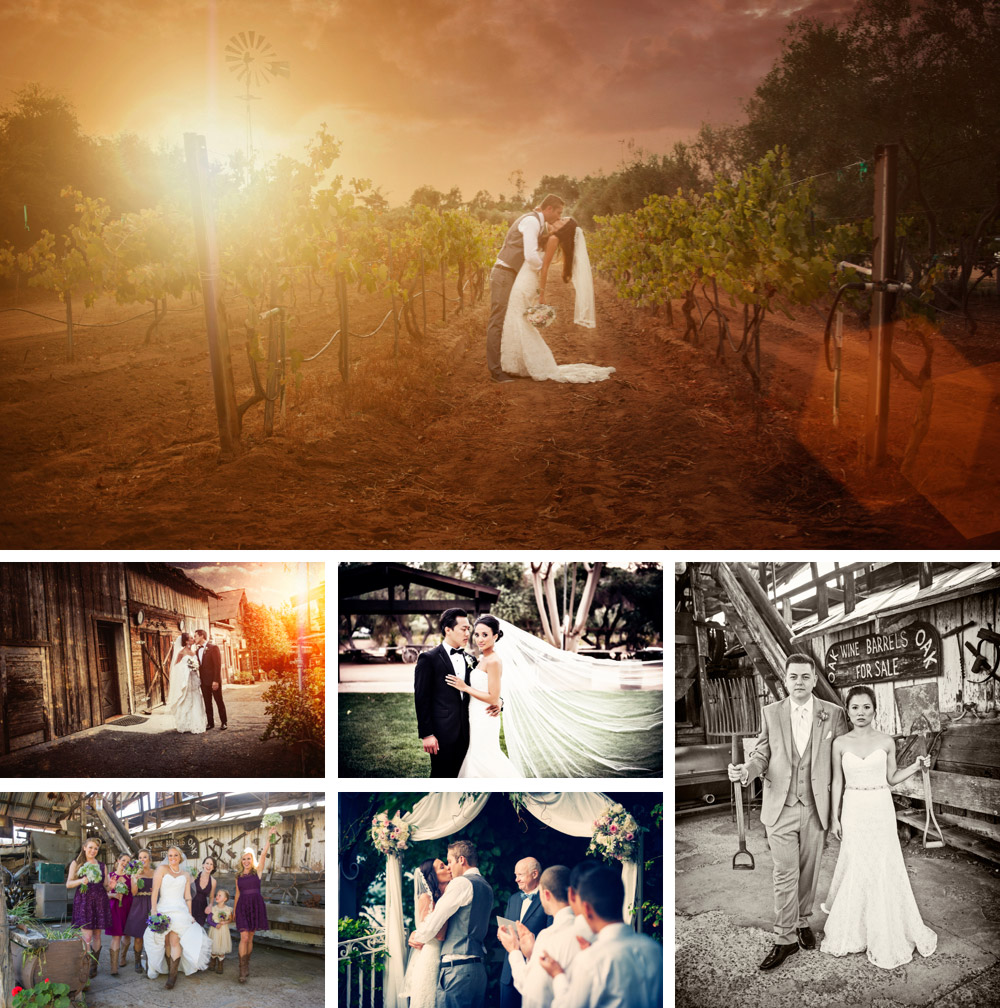 Bernardo Winery Wedding Photography