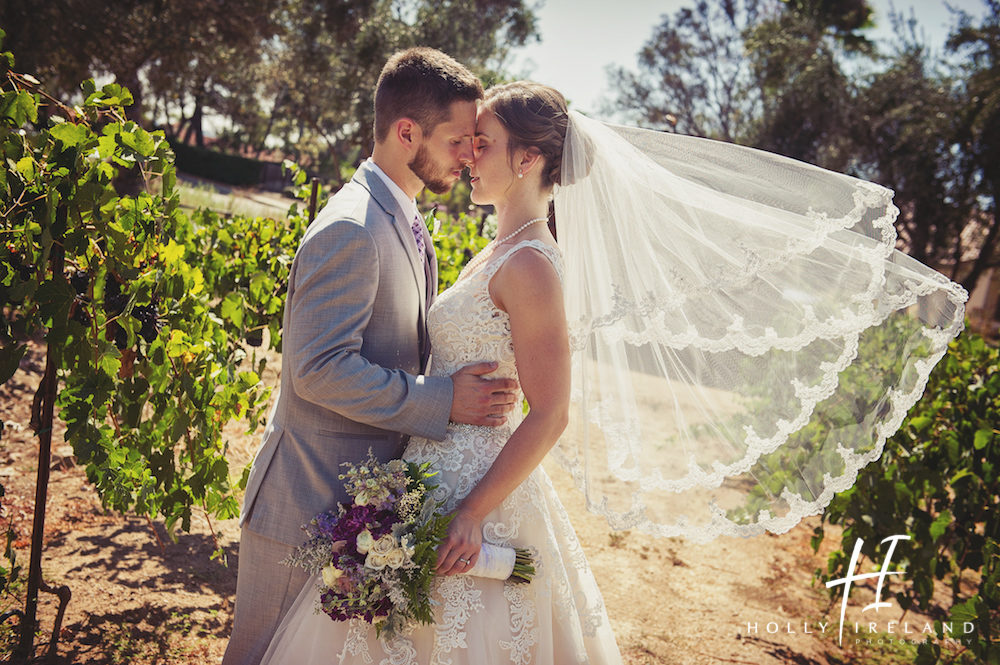 bernardowinery18