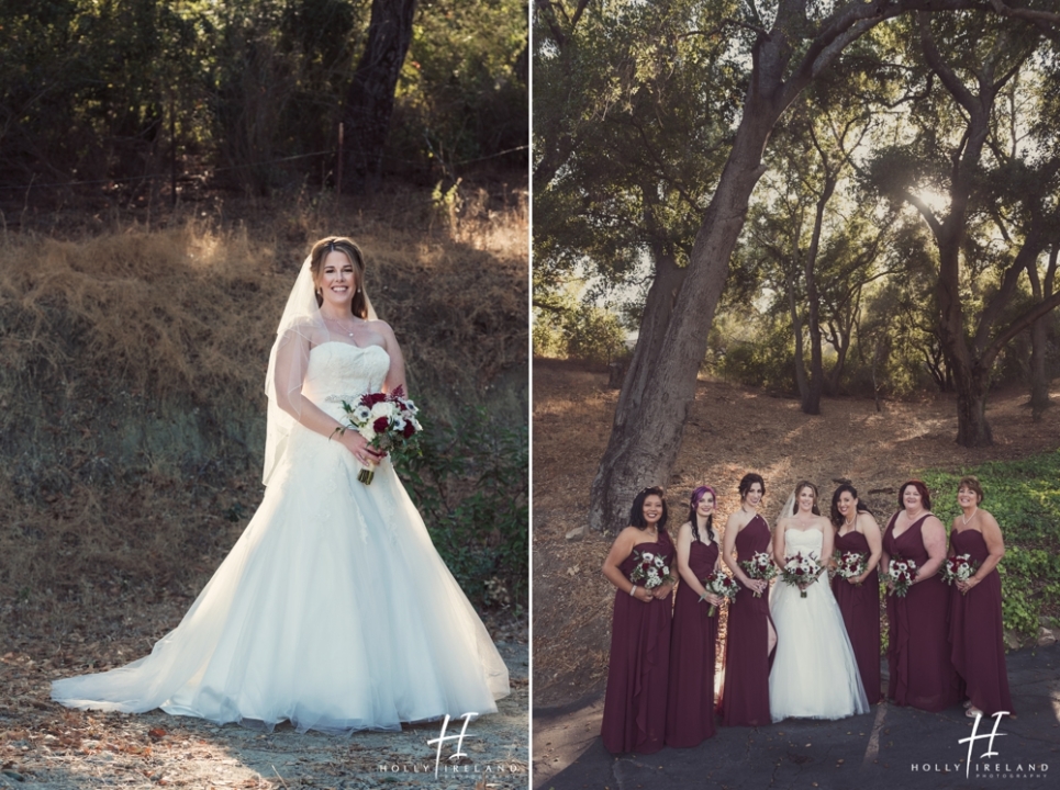 Circle Oak Ranch Wedding Photographers