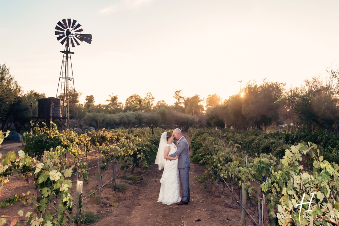 Bernardo Winery Wedding Photos